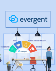 Evergent-Agile Organization